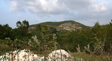 View from the new site